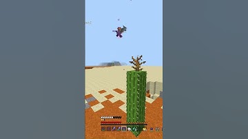 I Rolled this player in a mace 1v1 @qSnail_YT​