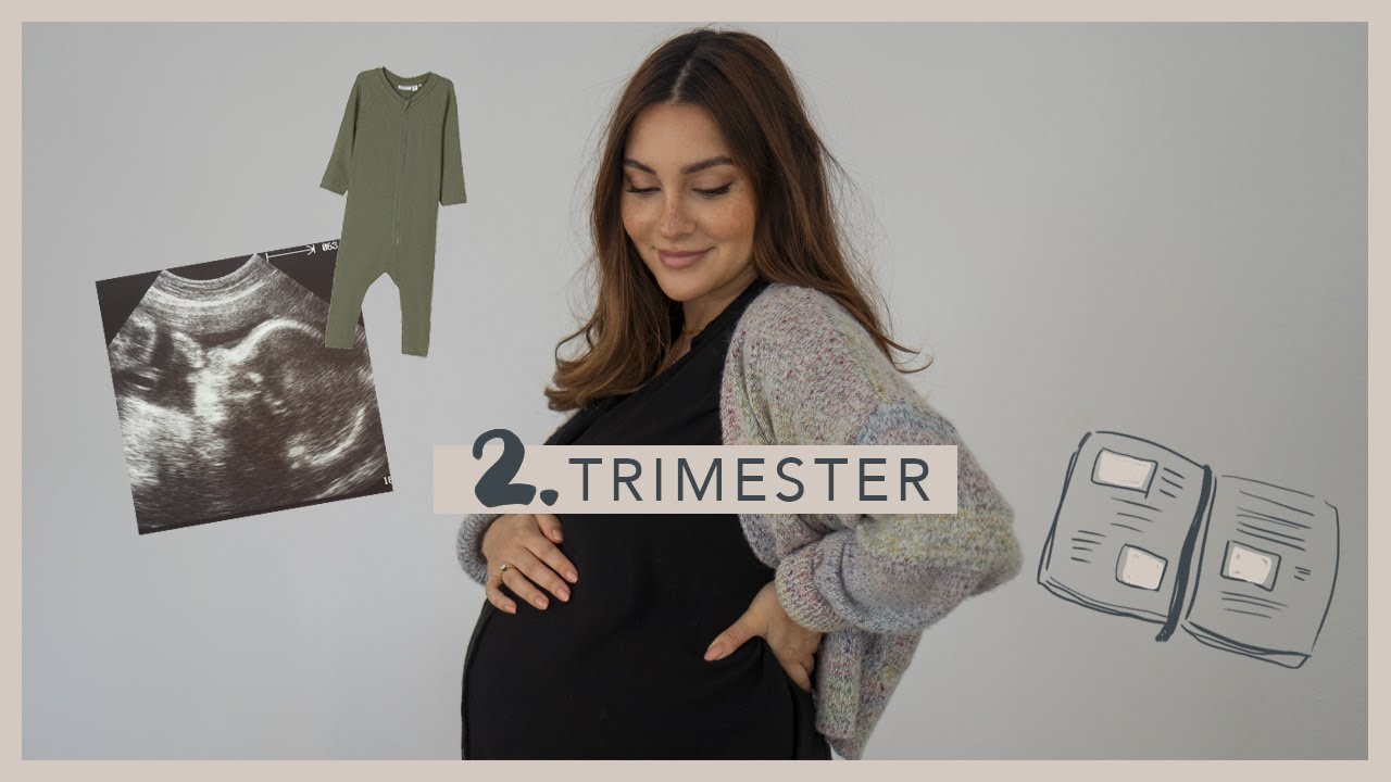MEIN 2. TRIMESTER SCHWANGERSCHAFT | Endlich wieder Energie! | madametamtam