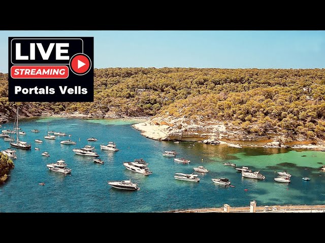 Portals Vells