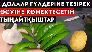 :  в  Ѳò ,  2  !