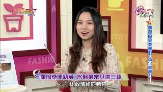 生活智多星 第684集-關節痛更要運動 強化健康力