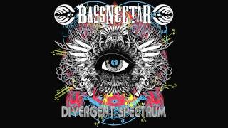 Bassnectar   Upside Down FULL OFFICIAL