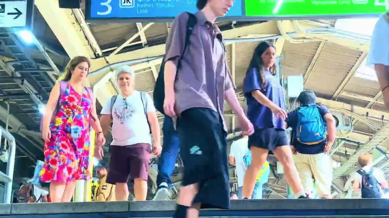 東京駅の混雑ぶりは、まるで訪問エリアが世界で最も有名な駅の一つであるかのようです。#train #japantravel #tokyo #電車 #鉄道 #viralvideo 
