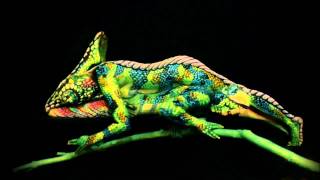 Chameleon   impressive creation   Fine Art Bodypainting by Johannes Stötter