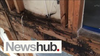 'A mad situation': Ratepayers want liability to be part of review into building consents | Newshub