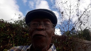 A Bible quote the meek shall inherit the earth