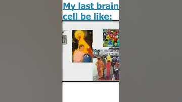 My last brain cell be like: