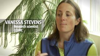 Thermal mass in Alaska: energy modeling