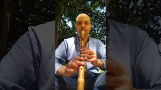 The Sound of Silence - Native American Flute (F#) #flute #music