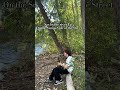 Sax by the river ep.5: “On the Sunny Side of the Street” #saxophone #sax #alto #music #band #shorts