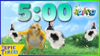 5 Minute Countdown Timer With A Dancing Spring Bunny Chick