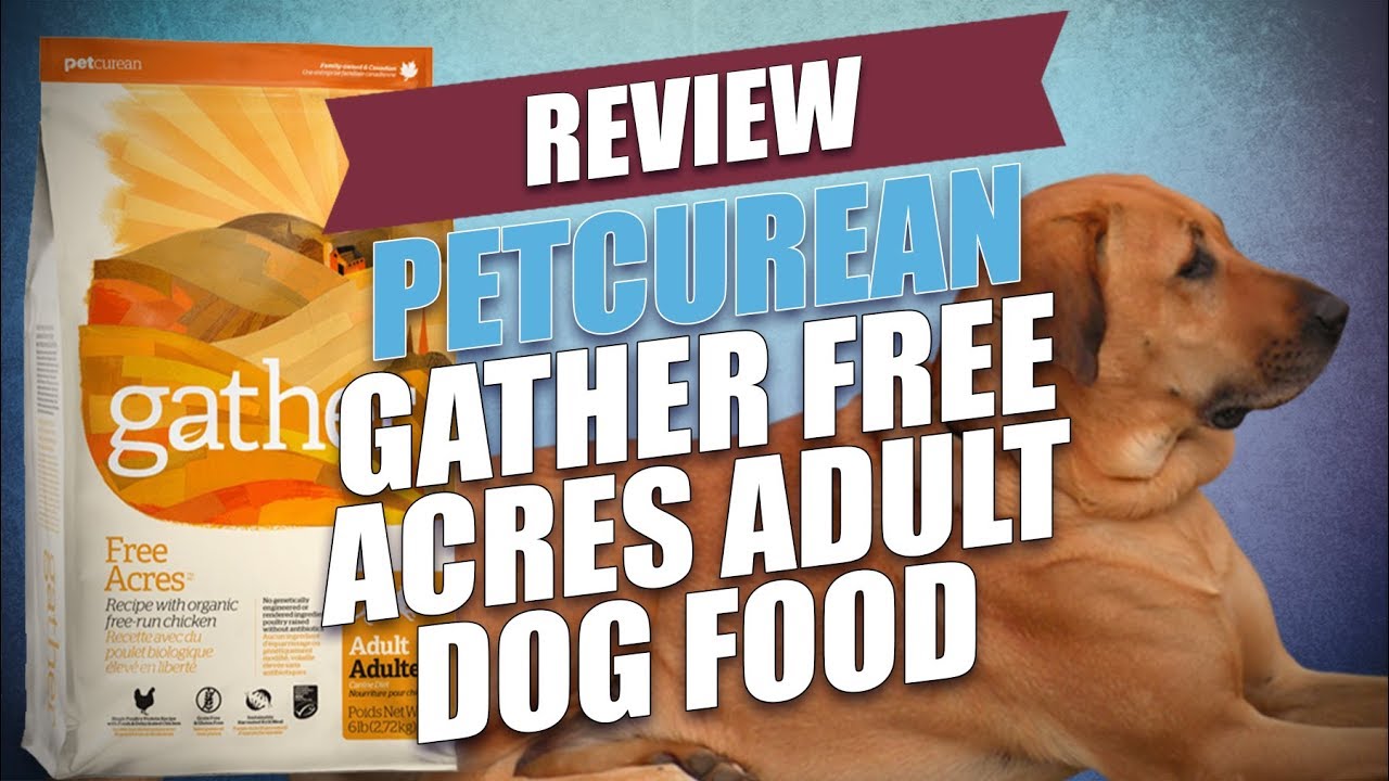 petcurean review