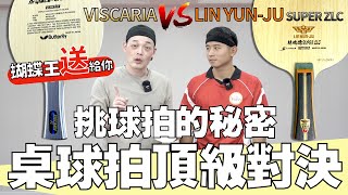 Butterfly VISCARIA VS LIN YUN JU Super ZLC