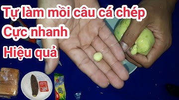 Kem mút làm mồi câu cá chép cực kỳ hiệu quả l CẦN THỦ ĐẤT CẢNG