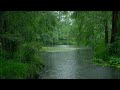 The beautiful little lake is raining(78) , sleep, relax, meditate, ASMR, Real Shot