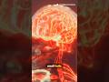 Facts about the human brain 🧠 #facts #humanbrain #information #brain #amazingfacts #science