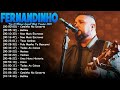 Fernandinho Gundi - Temiz