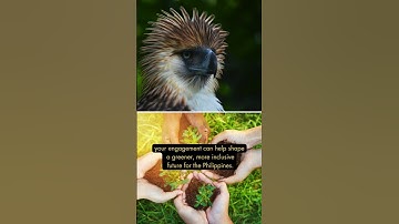 The Philippines is rewriting the future of work—one green job at a time 🌿