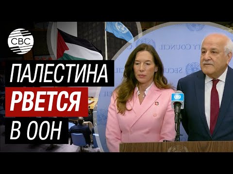 Совет Безопасности ООН рассмотрел заявку Палестины на членство в ООН