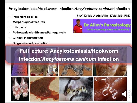 ನಾಯಿಯಲ್ಲಿ ಹುಕ್‌ವರ್ಮ್ ಸೋಂಕು_ಆನ್ಸಿಲೋಸ್ಟೊಮಿಯಾಸಿಸ್_ಆನ್ಸಿಲೋಸ್ಟೋಮಾ ಕ್ಯಾನಿನಮ್ ಸೋಂಕು_ಡಾ ಅಲಿಮ್_ಪೂರ್ಣ ಉಪನ್ಯಾಸ_ಇಂಗ್ಲಿಷ್