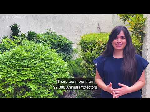 A Global Force - The Animal Protectors