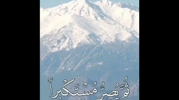 القران الكريم 242