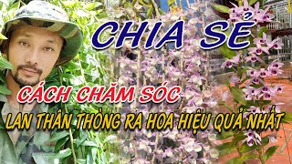 Bí quyết Làm NTN để lan thân thòng ra hoa hiệu quả nhất - Vườn Lan Nguyễn Thanh