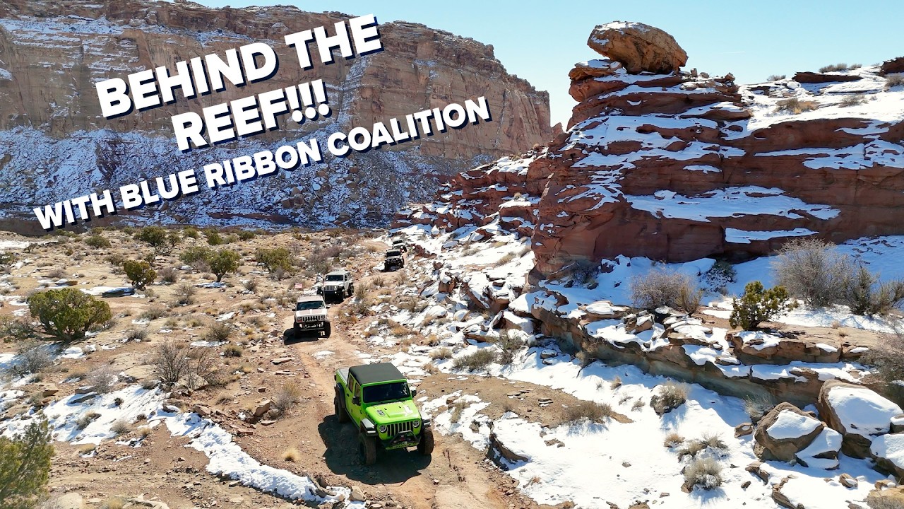 Behind The Reef - In The Wave with Blue Ribbon Coalition