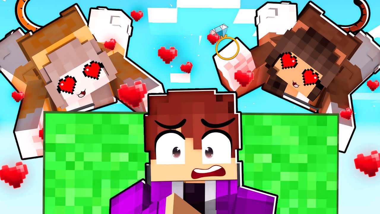 AS GATINHAS QUEREM CASAR COMIGO em APENAS UM BLOCO no Minecraft