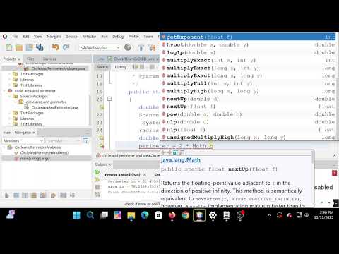 circle perimeter and area Java netbeans