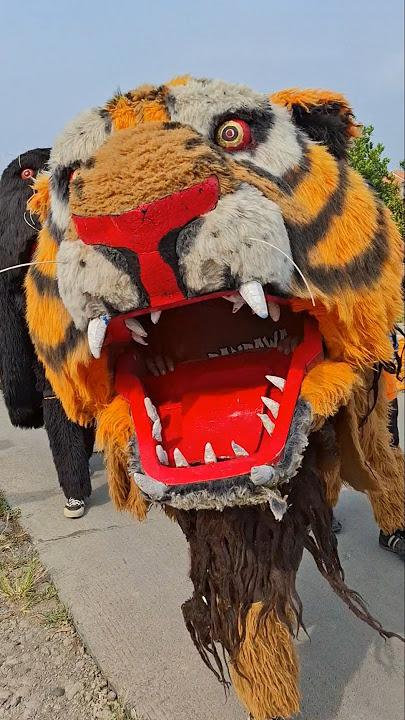 Barongan macan besar