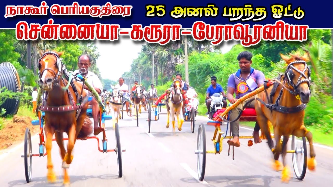 பெரிய குதிரை  நாகூர் 20/10/2022 Periya Kuthirai set-2 Nagor Ksk rekla race tn horse race