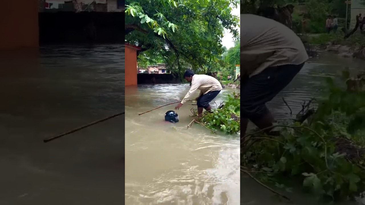 “Hilarious Mini Clips That Will Make You LOL! 