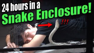 Living with the World's Longest Snake for 24 Hours!