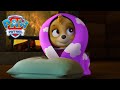 The Pups Save Skye PAW Patrol Cartoons For Kids 