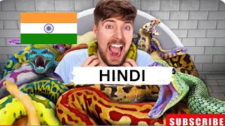 Would You Sit In Snakes For $10,000? In Hindi ! New MrBeast Hindi ! Mrbeast Hindi