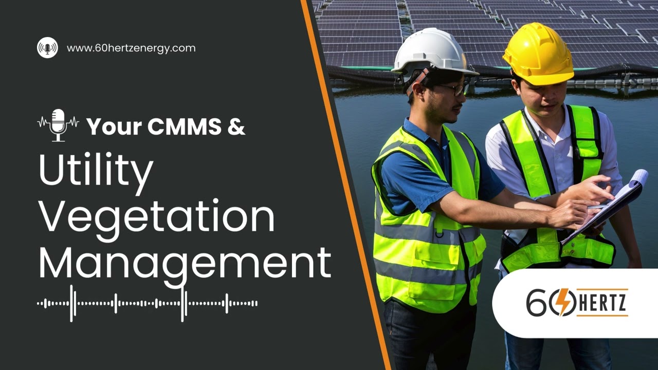 How a CMMS Helps With Utility Vegetation Management