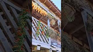 Nerelerde Gezersin Resimi