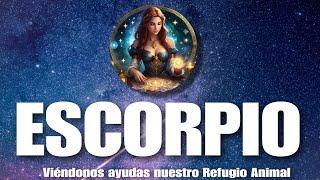 ESCORPIO ♏ESTO SE TE OCULTA ❤️Y DEBES SABERLO YA MISMO✨️  horoscopo tarot abril 2024 hoy amor