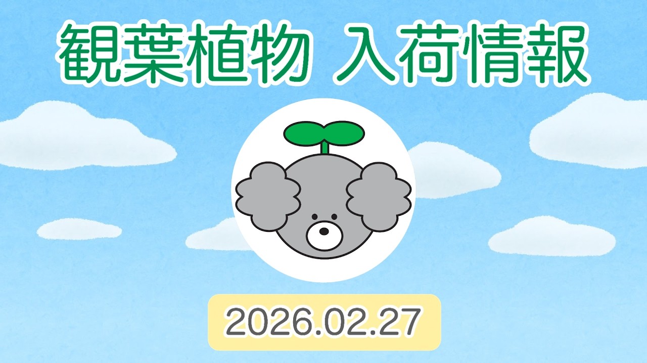 【観葉植物 入荷情報】2026.02.27