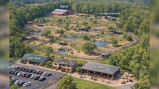 Seacrest Wolf Preserve seeks permits for new site in panhandle post-eviction