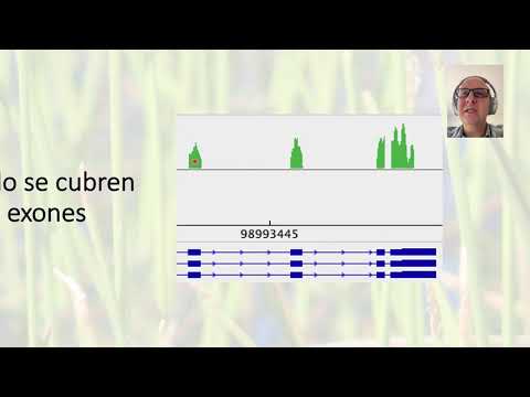 Vídeo: Un Análisis Comparativo De La Captura De Exoma