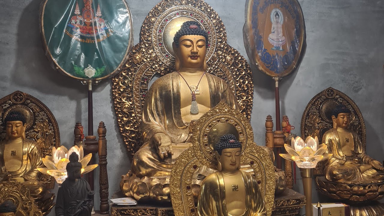 「釋禪定」正在早課直播！