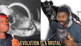 Evolution Did these animals Dirty | Casual Geographic | The Chill Zone Reacts