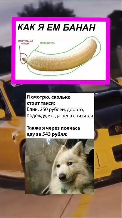 мем - YouTube
