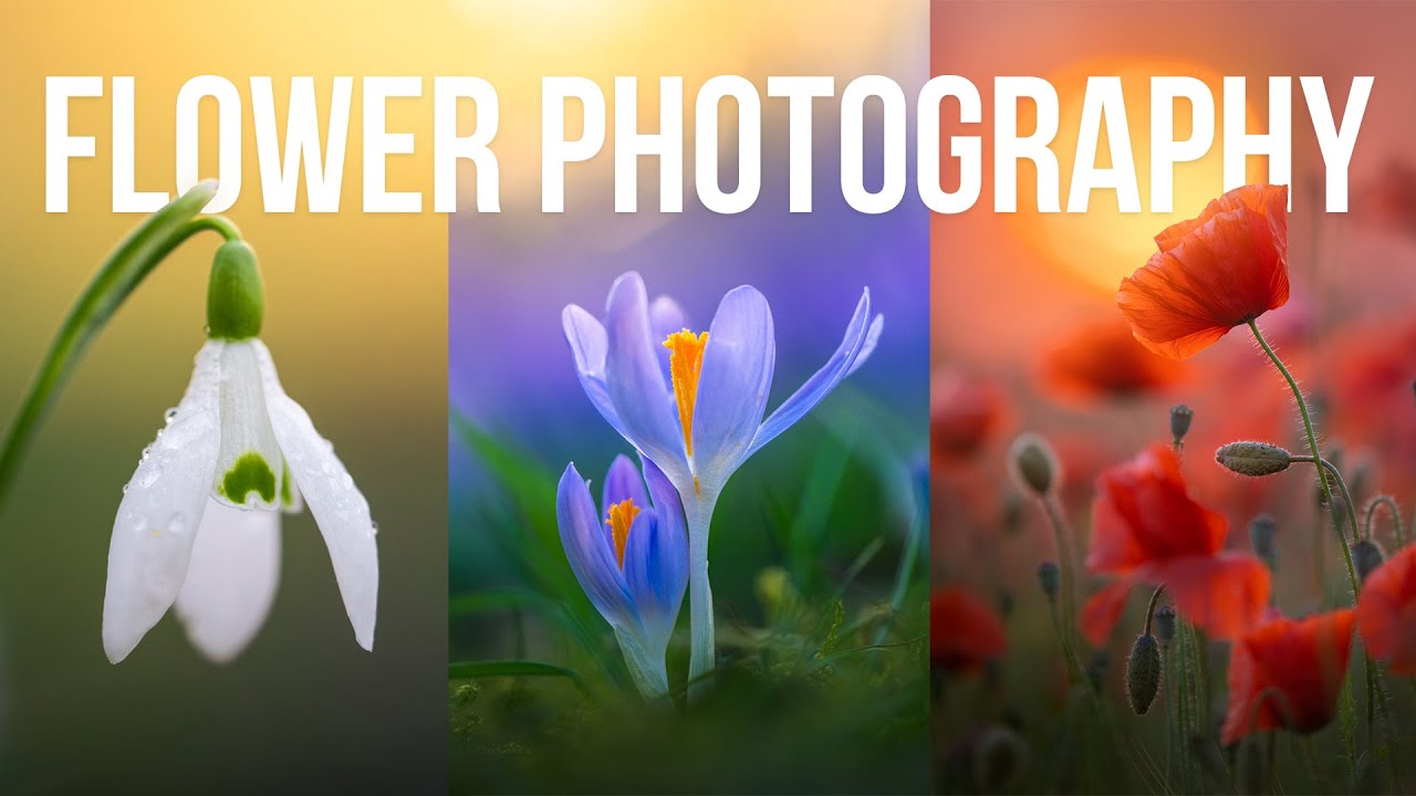 Great Photography Vlogger