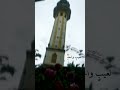 الناس تهجرني لعيب واحد أناشيد بدون موسيقى أحمد النفيس 