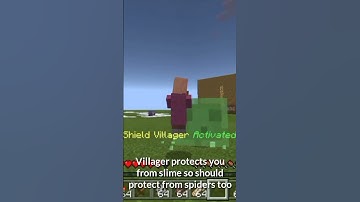 Easy Villager Shield | 1 Command Block! | Full Video Out! Check Comments