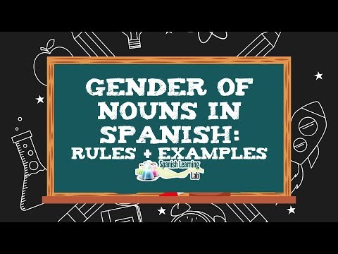 Gender of Nouns in Spanish: Rules and Examples