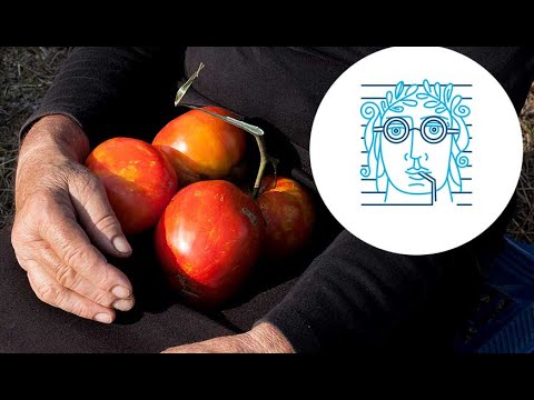 When Tomatoes Met